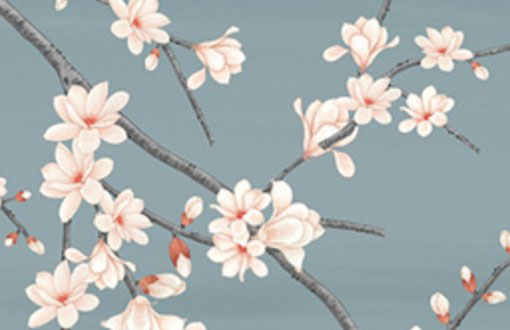 属牛的本命年送什么礼物 有什么禁忌