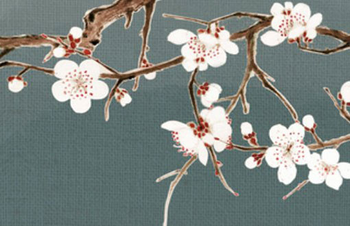 1997属牛一生三大劫难 有什么注意事项