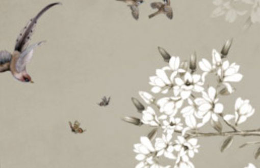 97年的牛过了23岁会越来越好吗 有什么需要注意的