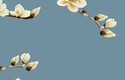 属牛本命年穿红色犯冲吗 牛命人本命年最忌讳的颜色