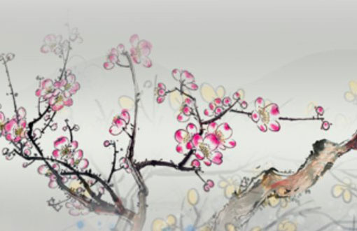 女人本命年谁买红衣服 有什么注意事项