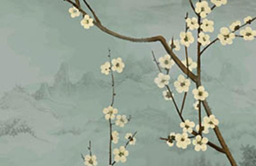 本命年需要天天穿红内裤吗 太顺好吗