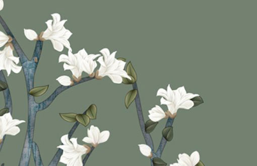 本命年红色哪一天穿 又有什么禁忌