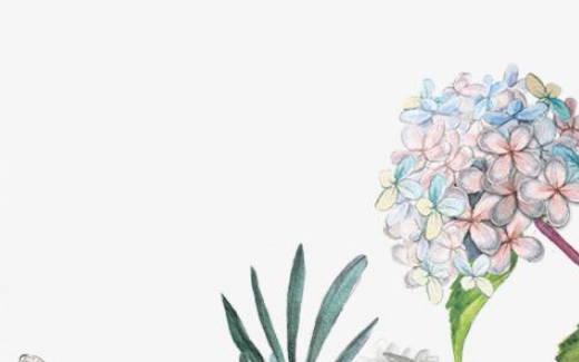 金牛宝宝忌什么属相兄弟 与生肖马相克