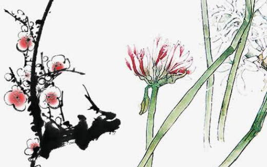 牛宝宝和什么属相的父母好分析