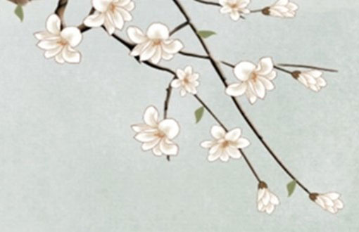 属牛人为什么不能穿红色 幸运色又是什么