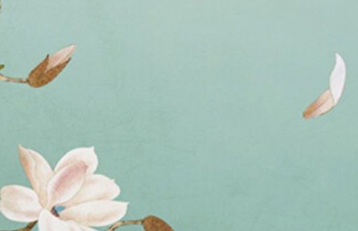 97年属牛本命年佩戴什么最好 可以穿红色吗