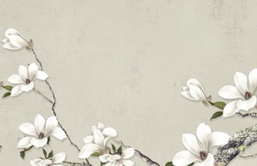 本命年为什么必须要穿红色 什么时候开始穿红