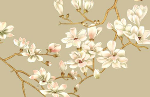 97年属牛找对象方位 最佳属相对象是什么