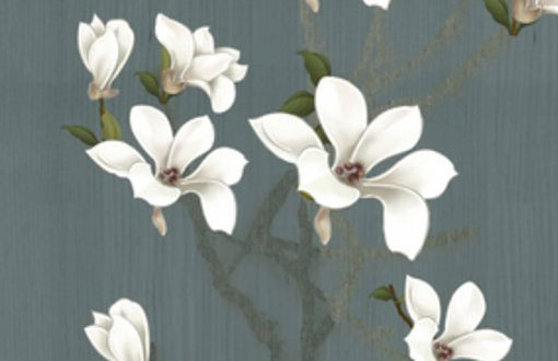 属牛人最旺的颜色 生肖牛永久的幸运色有哪些