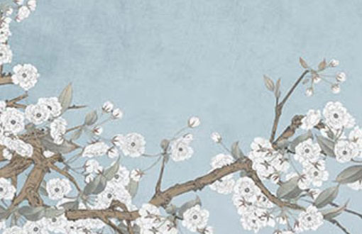 属牛36岁本命年很可怕 36岁牛命人需要注意什么