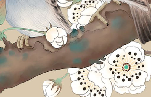 本命年每天都要穿红色吗 为什么要穿红呢