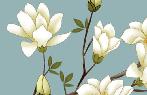 本命年红色必须是大红吗 本命年穿红有什么意义