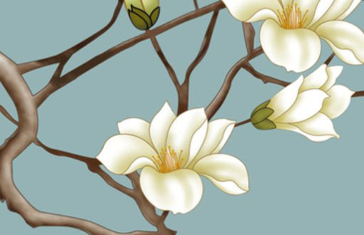 本命年谁送红色东西最好 送红有什么要注意的