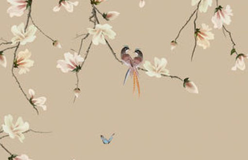 不是本命年可以穿红内裤么 为什么要穿红色