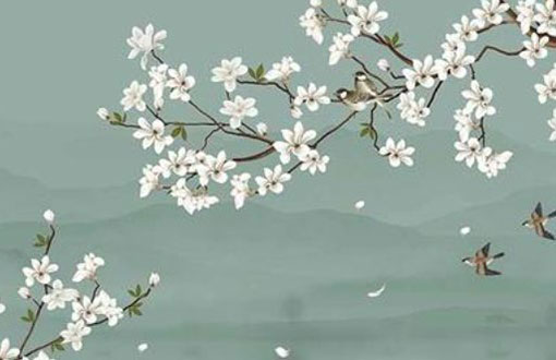 本命年买正红还是酒红 穿什么颜色的衣服好