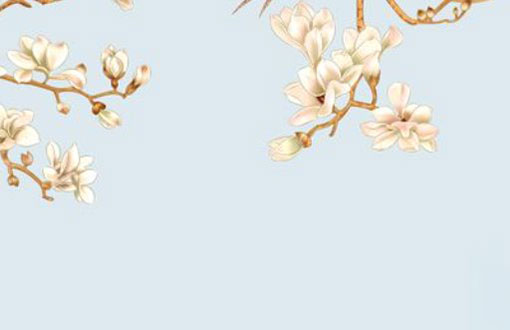 本命年为什么要别人送红色的东西 本命年穿红色要注意什么