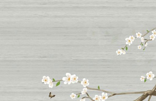 72岁老人本命年送礼物有什么禁忌 可以送什么