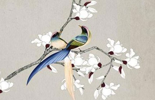 1997年属牛姻缘在哪年 生肖牛牛97年桃花运在哪