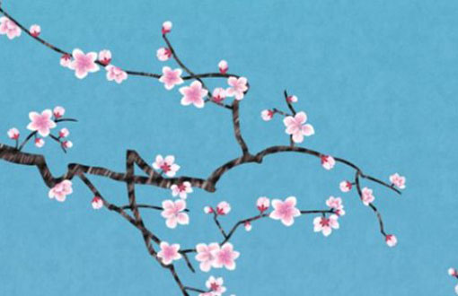 本命年牛戴什么好 有什么要注意的