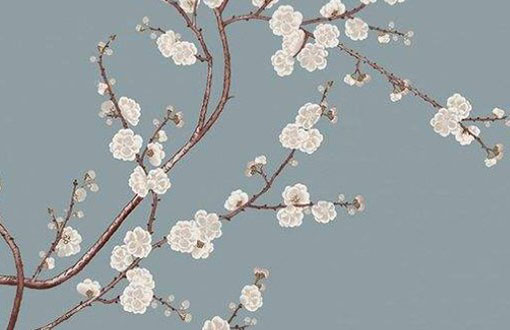 85年牛财运在哪年 健康运势如何