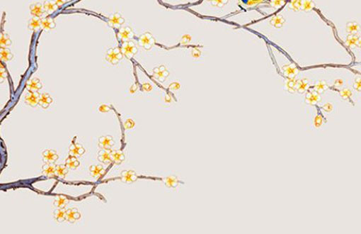 为什么本命年有些人很旺 可以戴什么转运