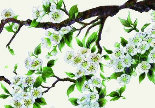 测姻缘什么时候出现 流年遇见红鸾星则有桃花之喜