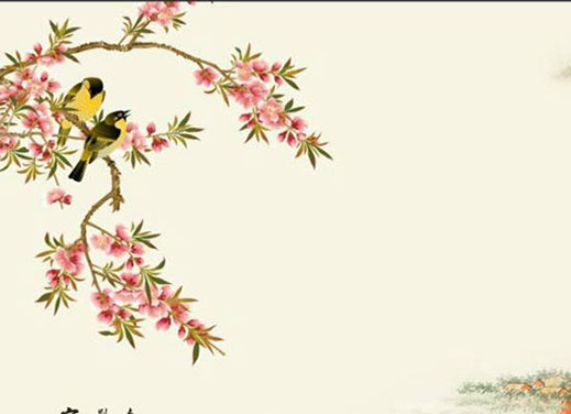 36岁女人本命年大忌 今年运势怎么样