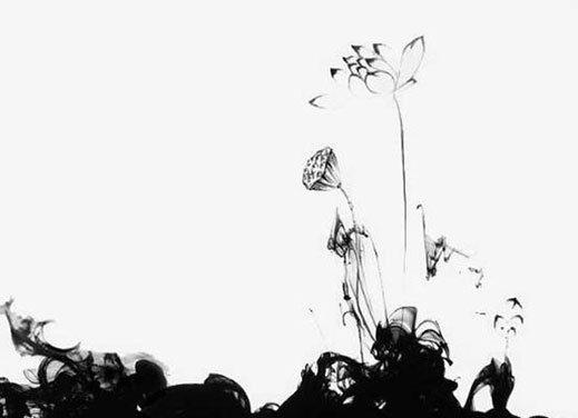 99年属兔的姻缘在哪年 什么生肖和兔比较合适