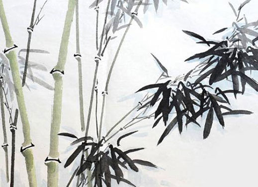 属牛人可以穿红色吗 有什么忌讳的颜色