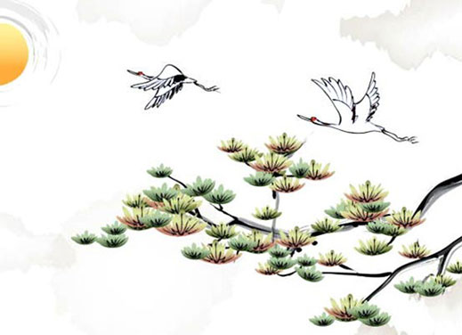 1997年属牛的婚姻和命运 会有什么样的运势