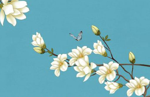 本命年的大忌属牛 有什么转运的方法