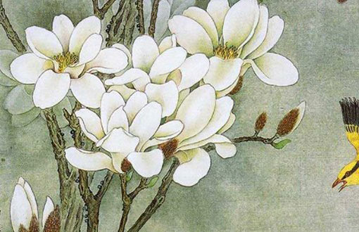 本命年的大忌属牛戴什么 适宜戴什么