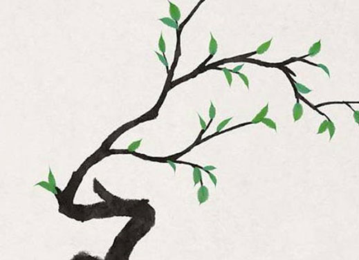 男本命年送什么礼物好呢 送什么会提升运势