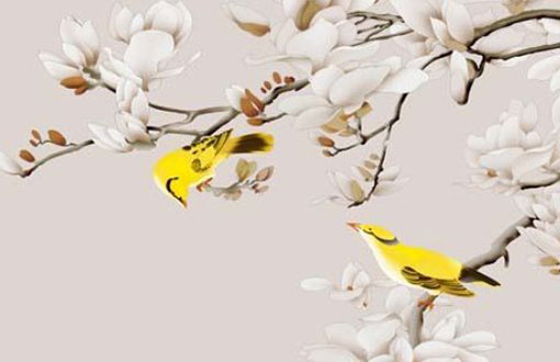 1985年属牛女后半生命运 85年出生的人是什么命