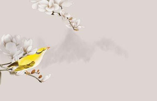 本命年戴手表一定要新买的吗 有什么要注意的