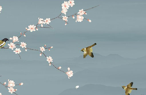 为什么85属牛人36岁转运 财运如何