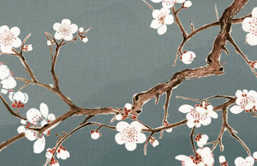 属牛为什么不能和属龙的 事业搭配合吗