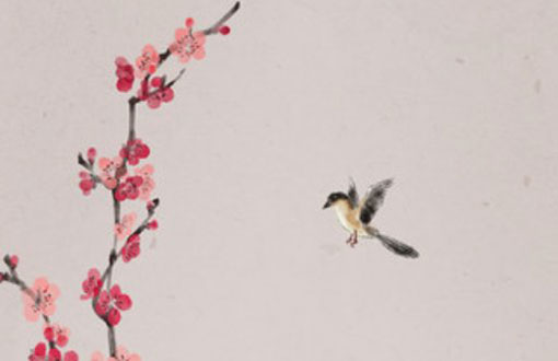 属牛的戴什么转运珠好 还可以佩戴什么饰品