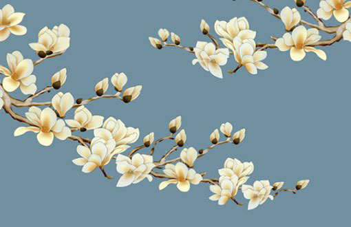 本命年牛戴什么好女 有什么注意事项