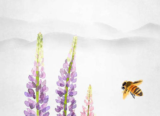 本命年牛戴什么好男人 本命年的财运好不好