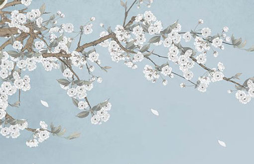 本命年有什么讲究属龙 运势如何