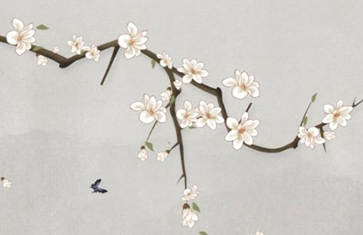 本命年的大忌属牛可以穿红色吗 为什么不能穿红色