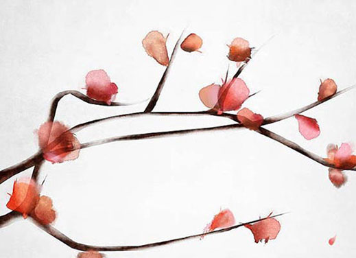 36周岁本命年注意事项 整体的运势好不好