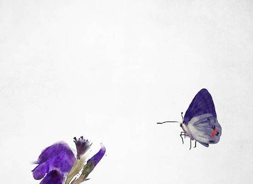 本命年注意事项 有什么本命年禁忌