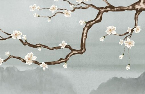 1996属鼠一生大劫年 如何化解这些劫难