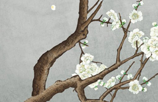 属牛本命年的运气是好还是坏 本命年有什么忌讳