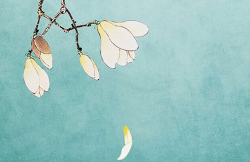 老公牛年本命年送啥礼物好 需要注意什么