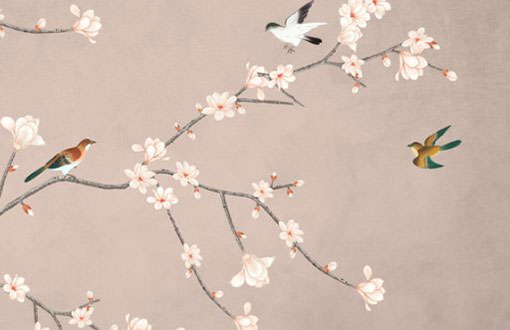 本命年过后第二年运势 怎么去改变