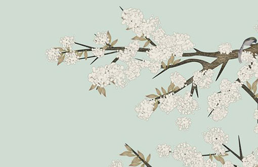 本命年牛可以戴自己的生肖吗 有什么生肖可以戴